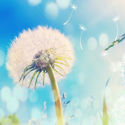 [Дарья Масловская] Как отрабатывать диалоги на анг_0.png